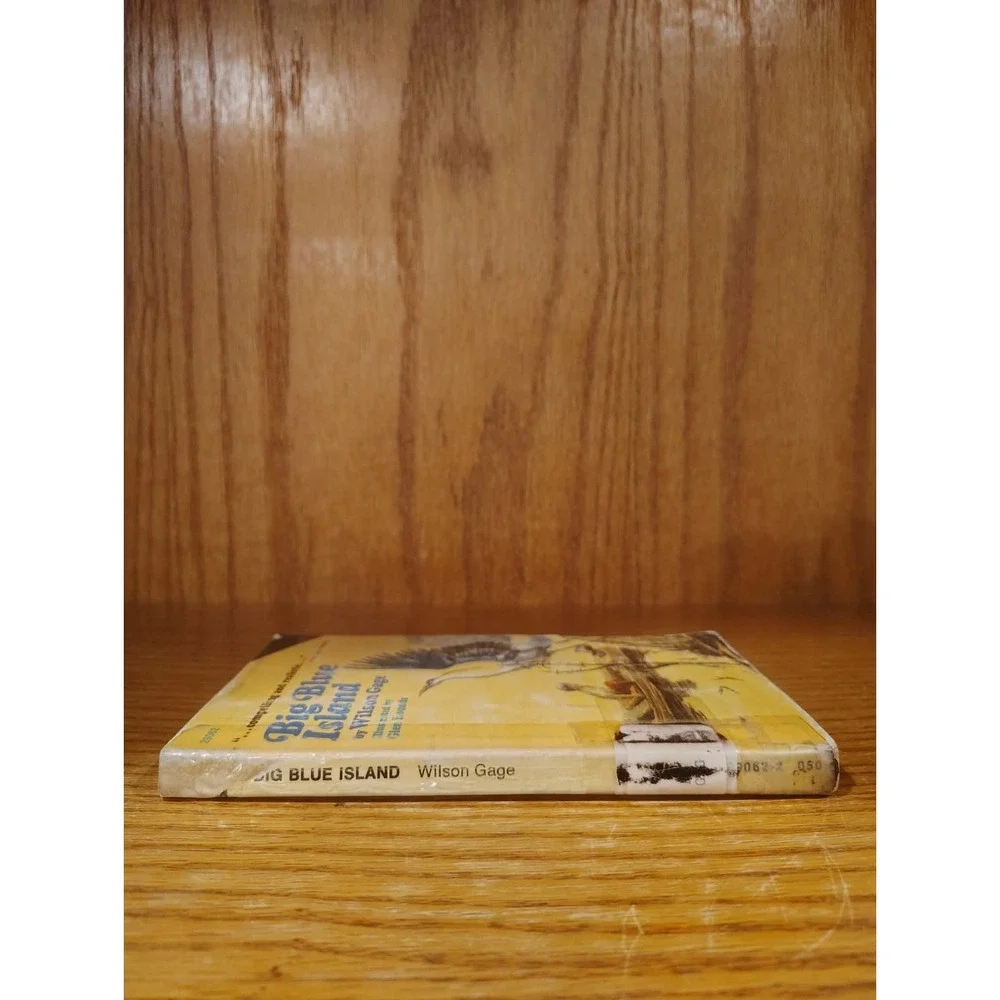 Big Blue Island by Wilson Gage, Paperback - Acceptable